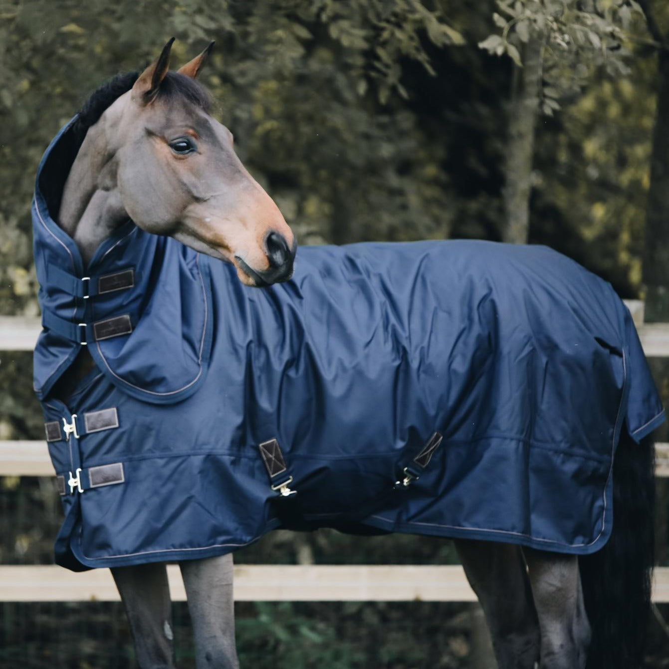Kentucky Horsewear Turnout Rug All Weather Waterproof Pro, Navy