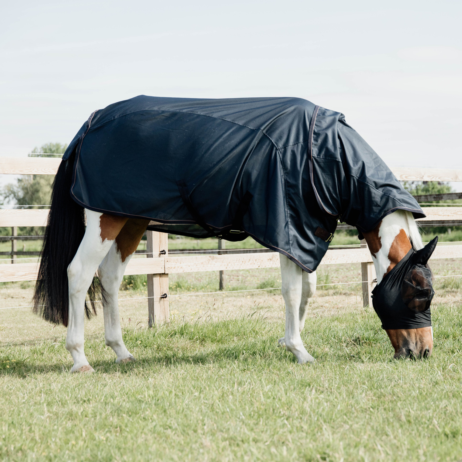 Kentucky Horsewear Waterproof Combo Fly Rug, Navy