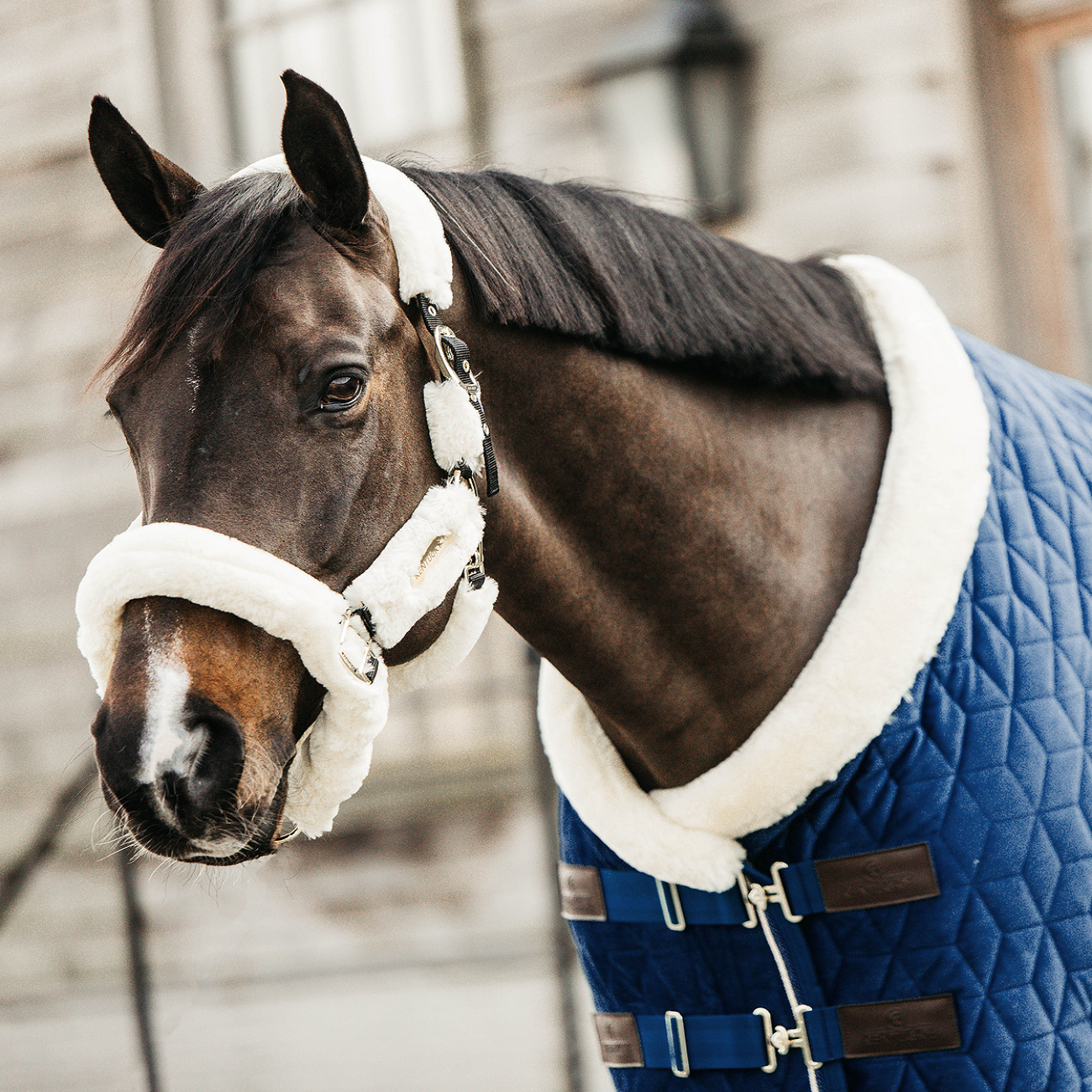 Kentucky Horsewear Show Rug Velvet 160g, Navy