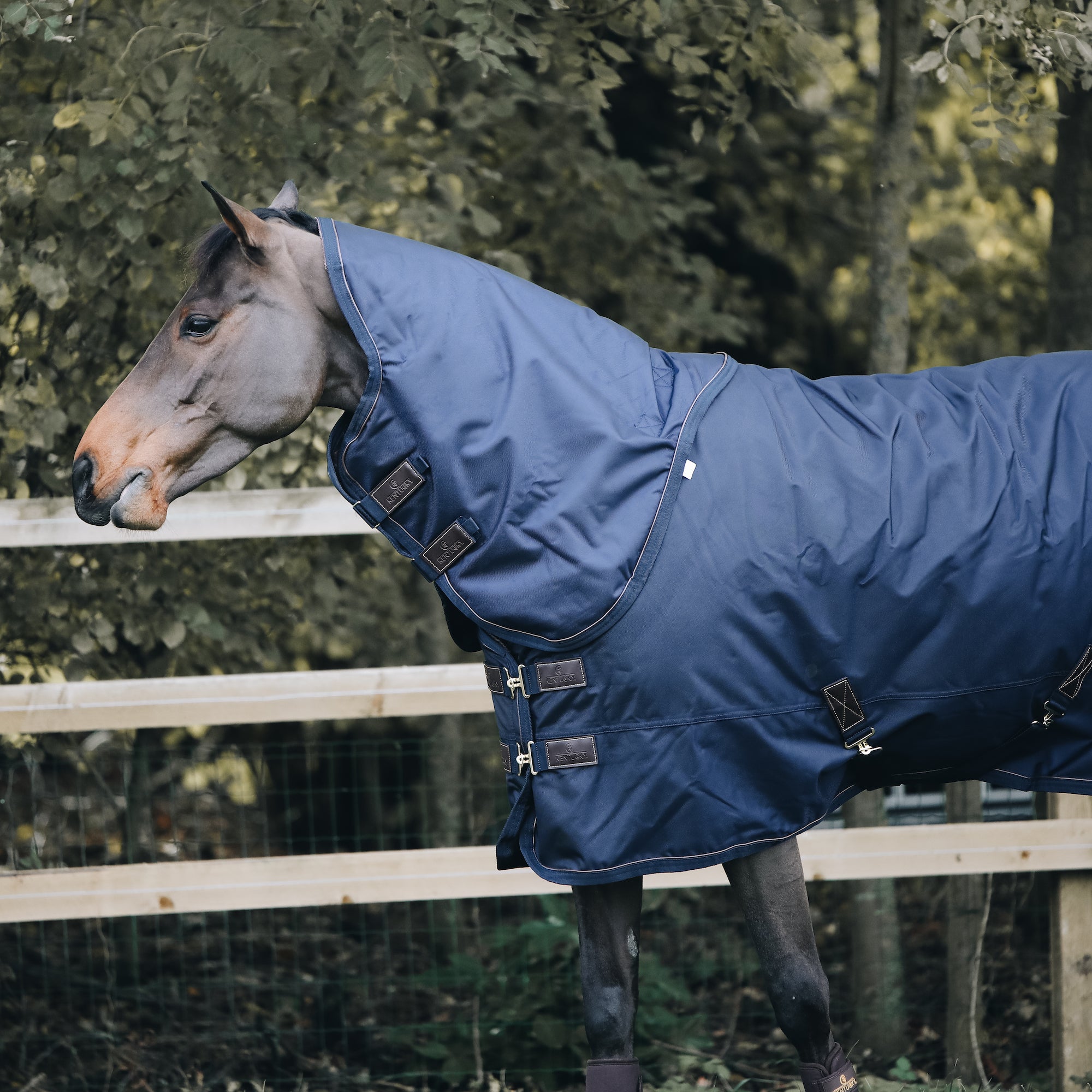 Kentucky Horsewear Turnout Rug All Weather Waterproof Pro, Navy