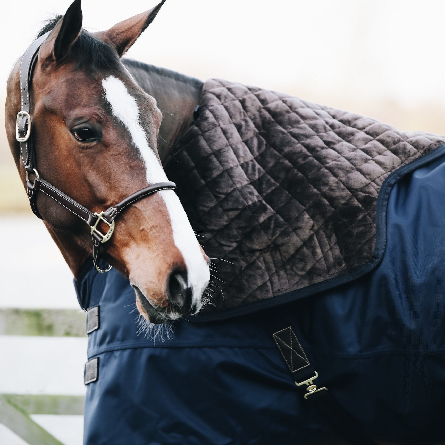 Kentucky Horsewear Turnout Rug All Weather Waterproof Pro, Navy