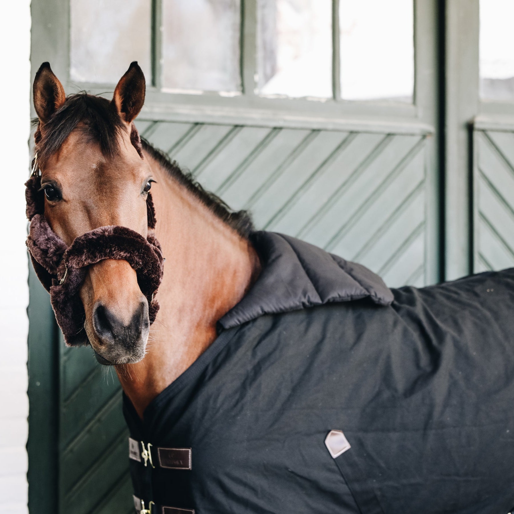 Kentucky Horsewear Horse Bib