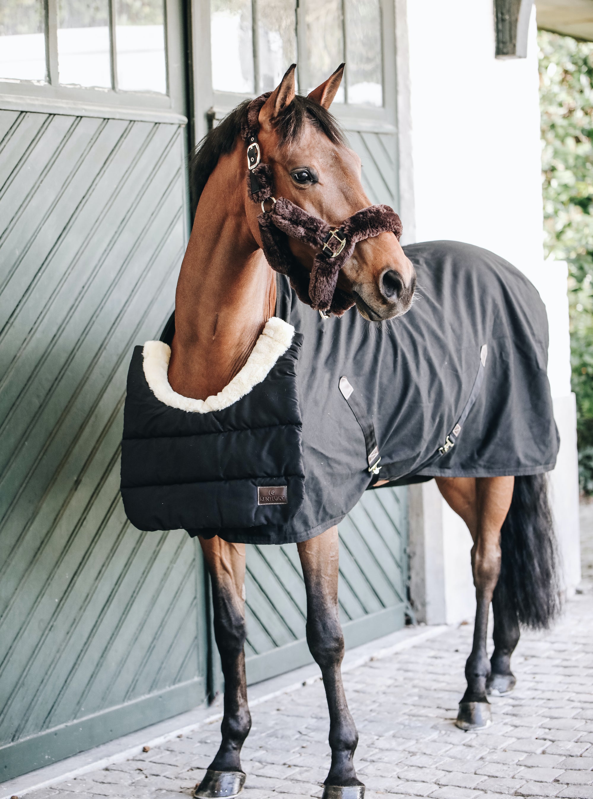 Kentucky Horsewear Horse Bib Winter