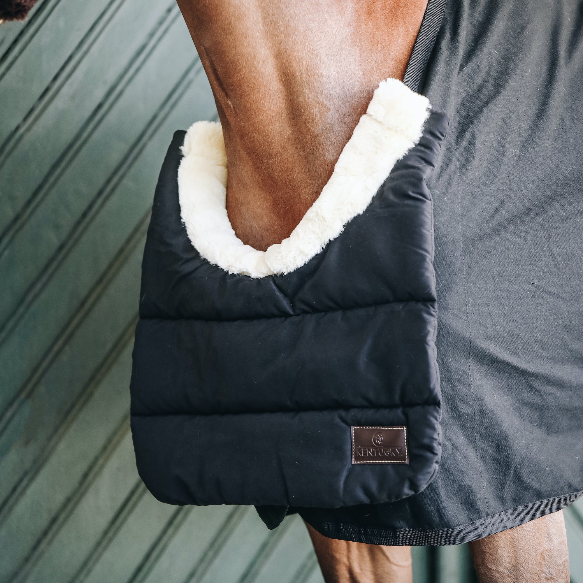 Kentucky Horsewear Horse Bib Winter