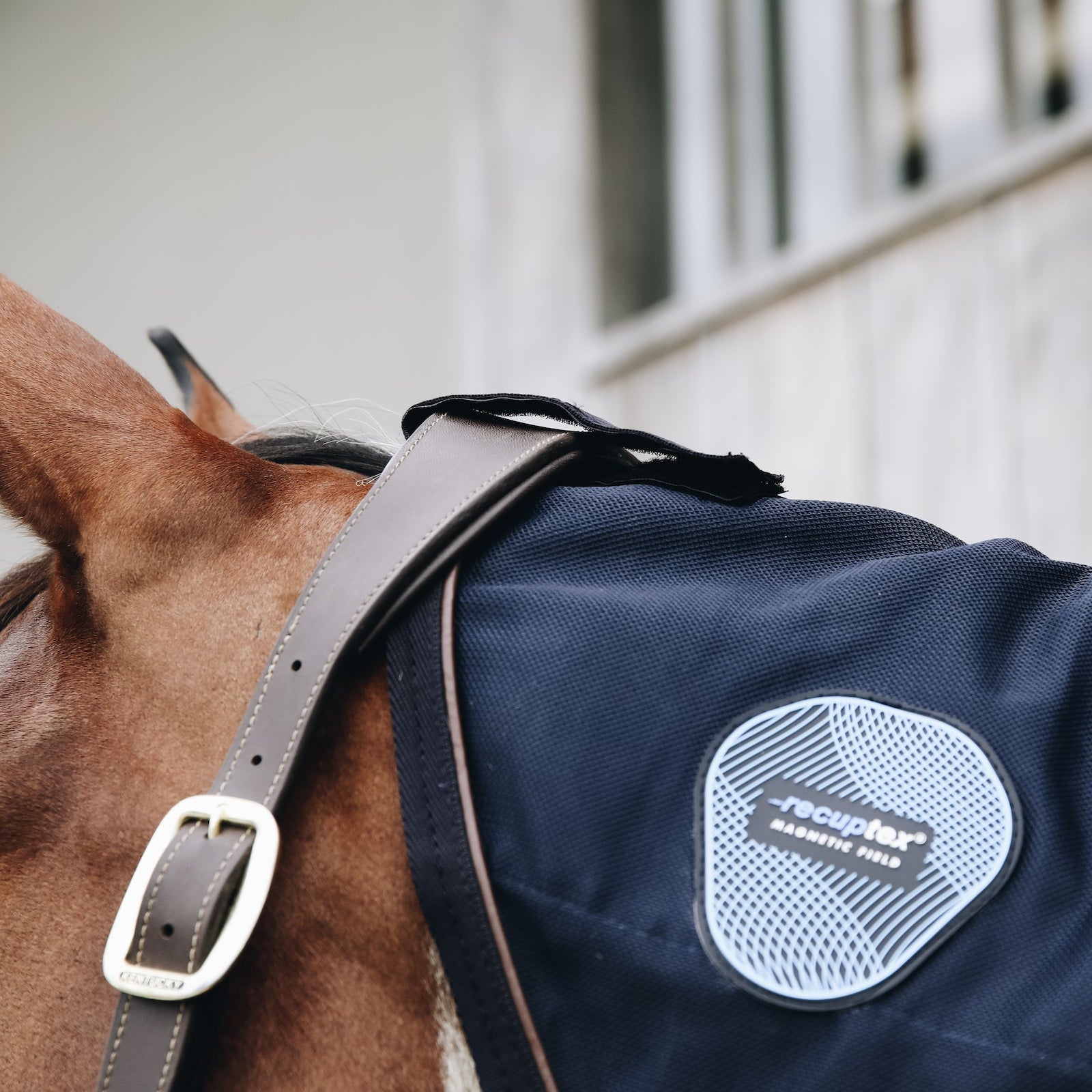 Kentucky Horsewear Magnetic Neck Recuptex