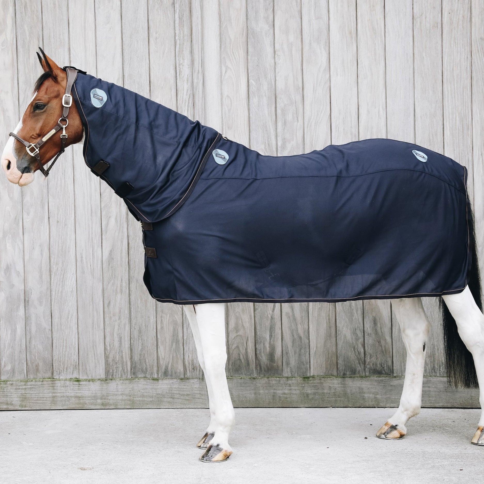 Kentucky Horsewear Magnetic Neck Recuptex