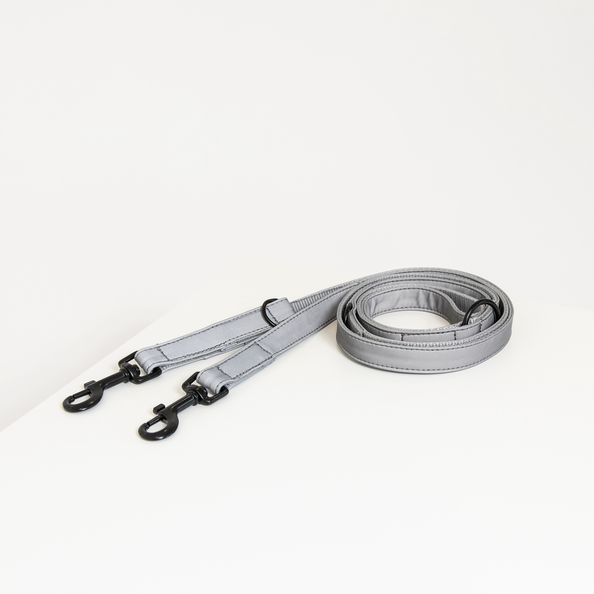 Kentucky Dog Lead Reflective, Silver
