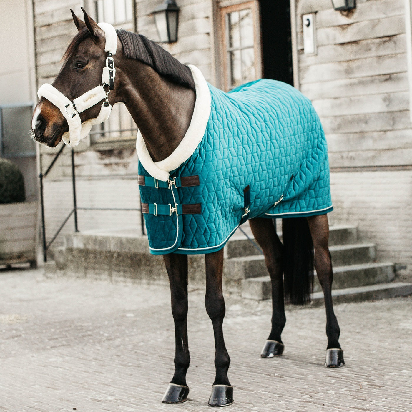 Kentucky Horsewear Show Rug Velvet 160g, Emerald