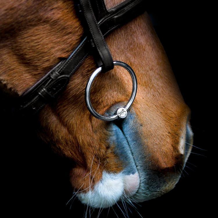 Fager Anna Sweet Iron FSS™ Loose Rings