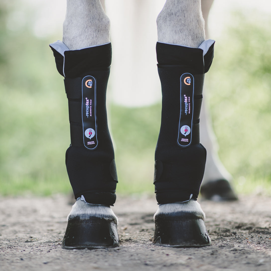 Kentucky Horsewear Magnetic Stable Boots Recuptex