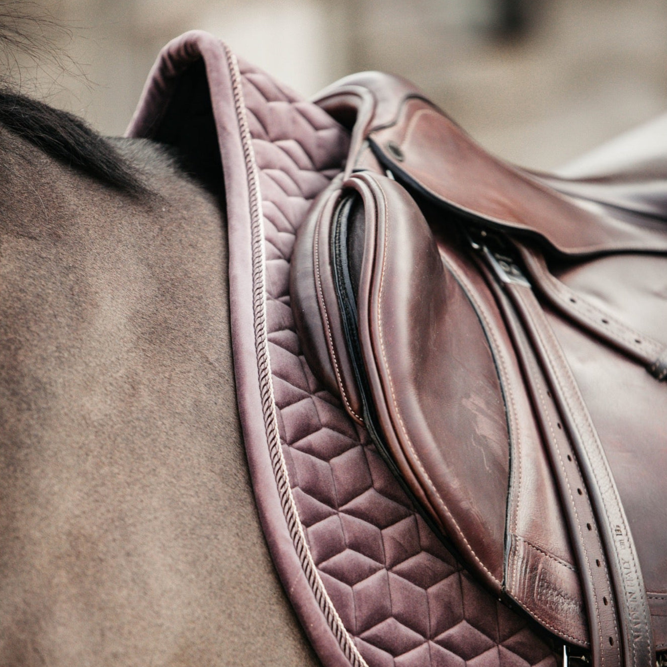 Kentucky Horsewear Saddle Pad Velvet Dressage, Light Purple