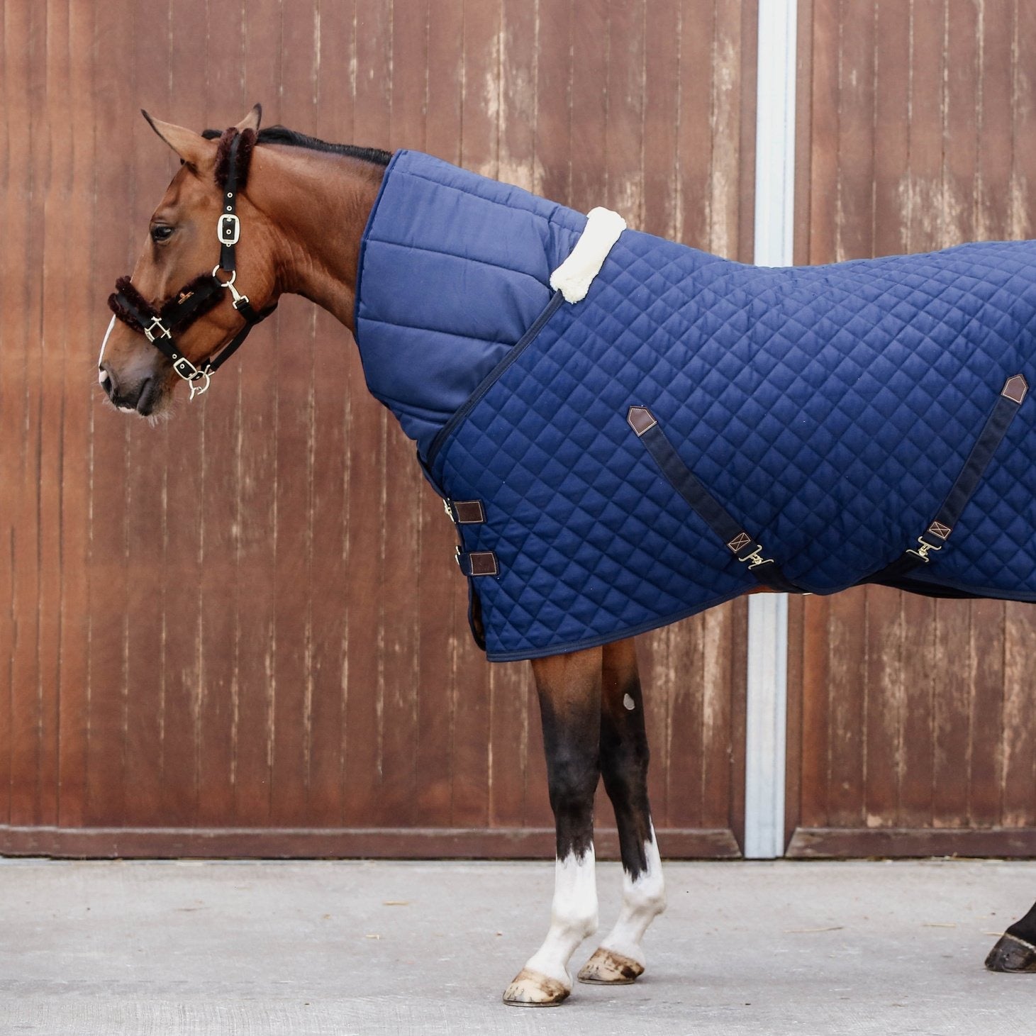 Kentucky Horsewear Horse Duvet 300G