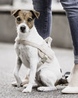 Kentucky Dog Harness Body Safe Wool, Beige