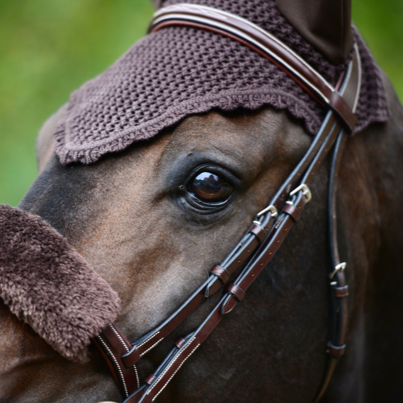 Kentucky Horsewear Fly Veil