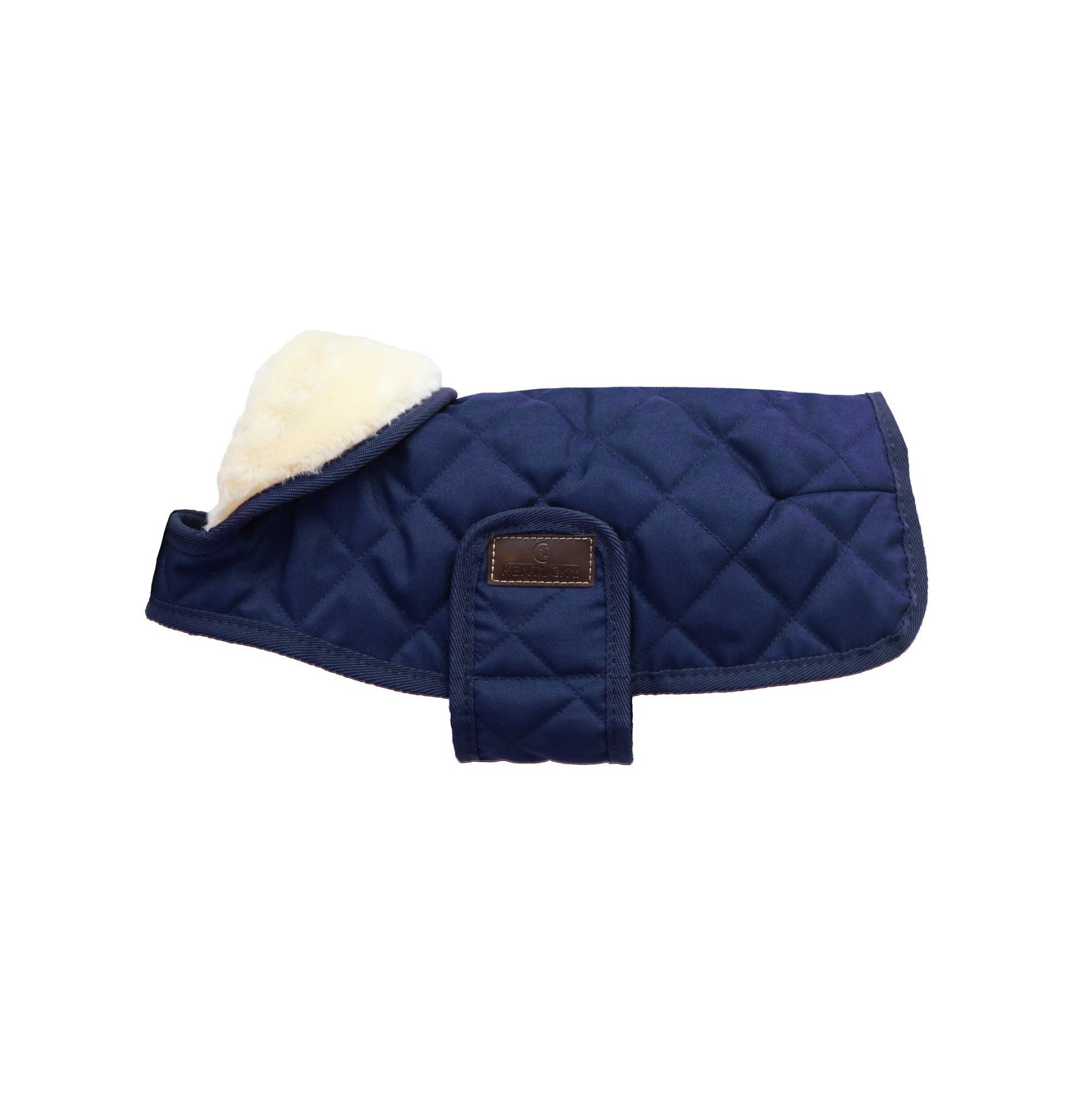 Kentucky Dog Coat, Navy
