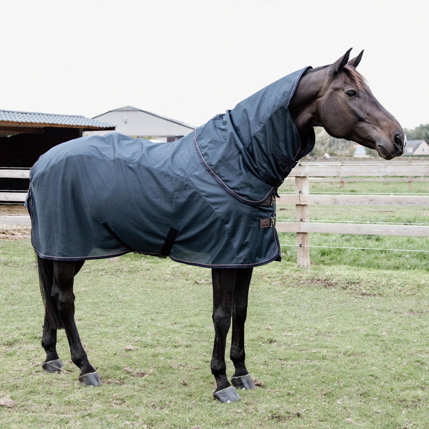 Kentucky Horsewear Waterproof Combo Fly Rug, Navy