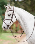Lumiere Equestrian AVA Grackle Bridle, Brown - with Reins