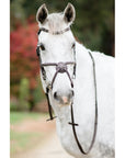 Lumiere Equestrian AVA Grackle Bridle, Brown - with Reins