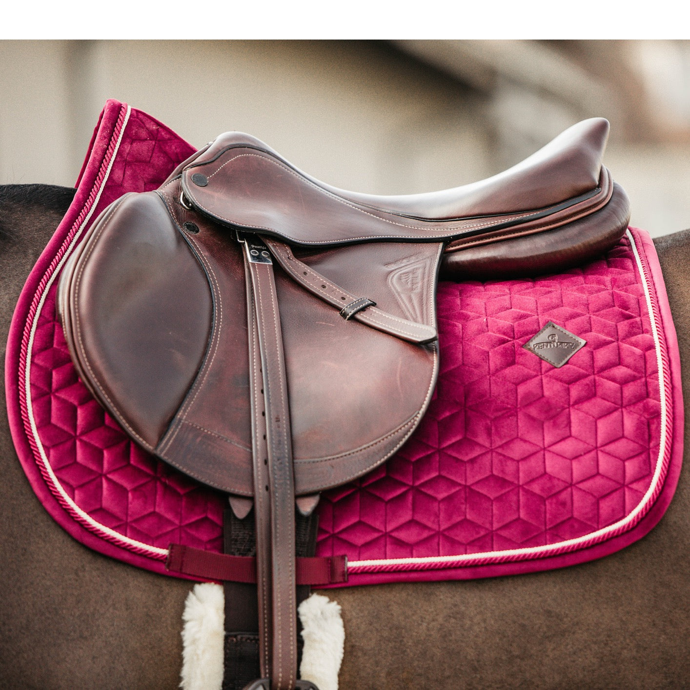 Kentucky Horsewear Saddle Pad Velvet Dressage Fuchsia Edition