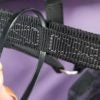 Thinline Grazing Muzzle Horse Halter