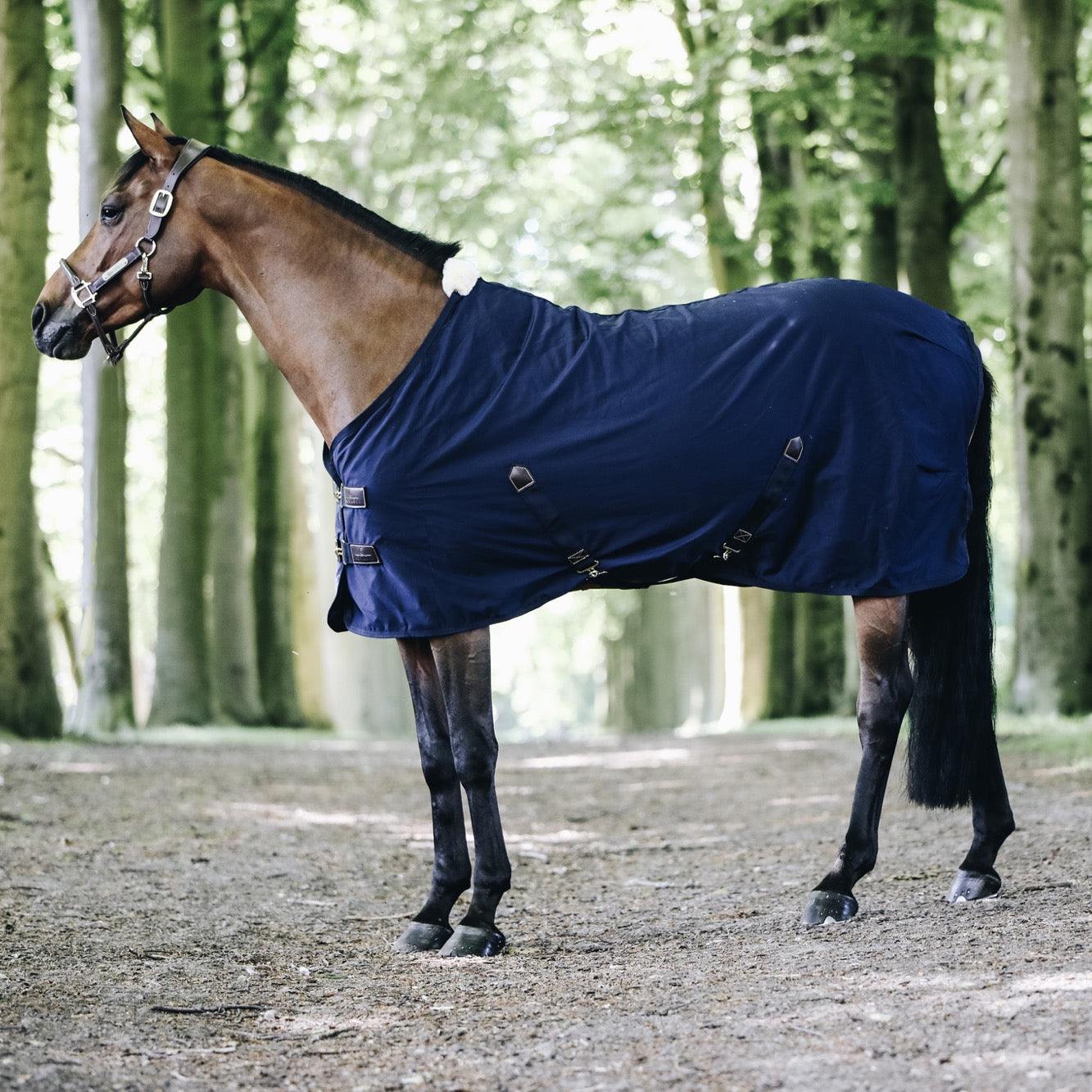 Kentucky Horsewear Cotton Blanket