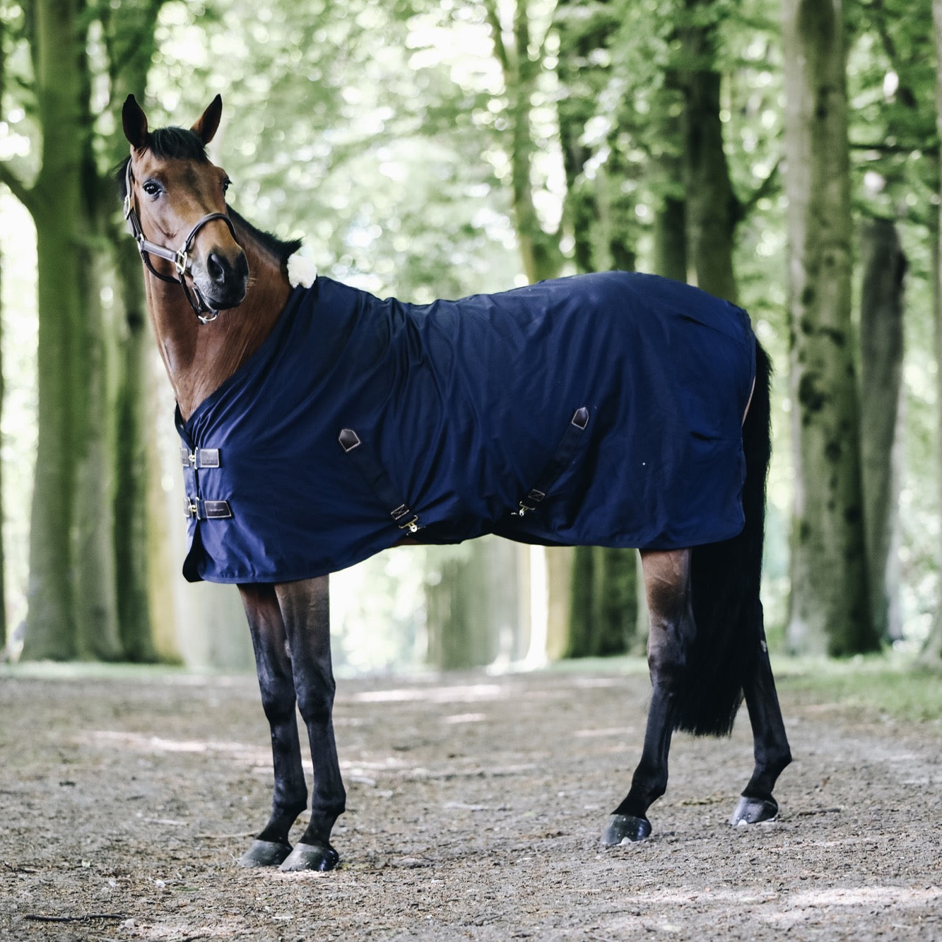 Kentucky Horsewear Cotton Blanket