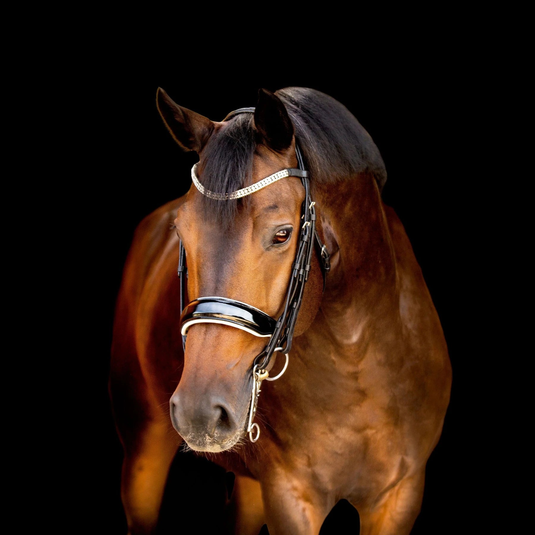 Lumiere Equestrian ADELINE Luxury Leather Double Bridle, Black with Reins