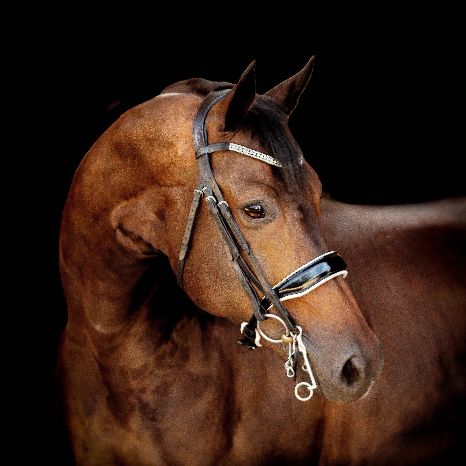 Lumiere Equestrian ADELINE Luxury Leather Double Bridle, Black with Reins