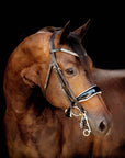 Lumiere Equestrian ADELINE Luxury Leather Double Bridle, Black with Reins