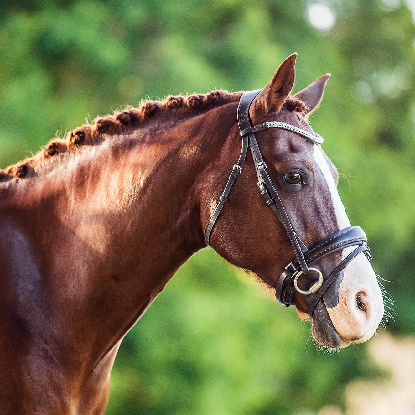 Lumiere Equestrian ANASTASIA Convertible Bridle, Brown - with Reins