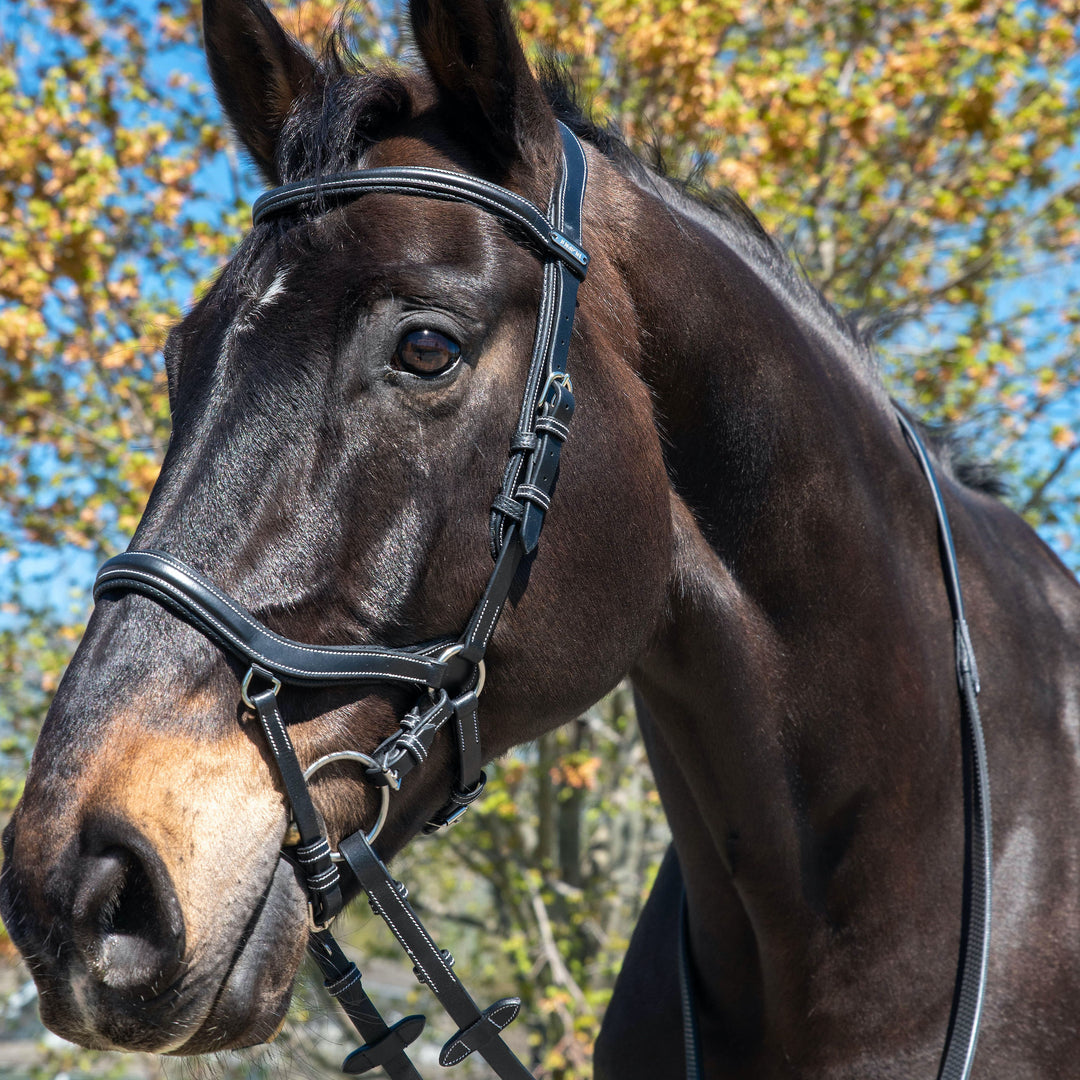 Jump'In ONE New York Bridle with Reins, Black