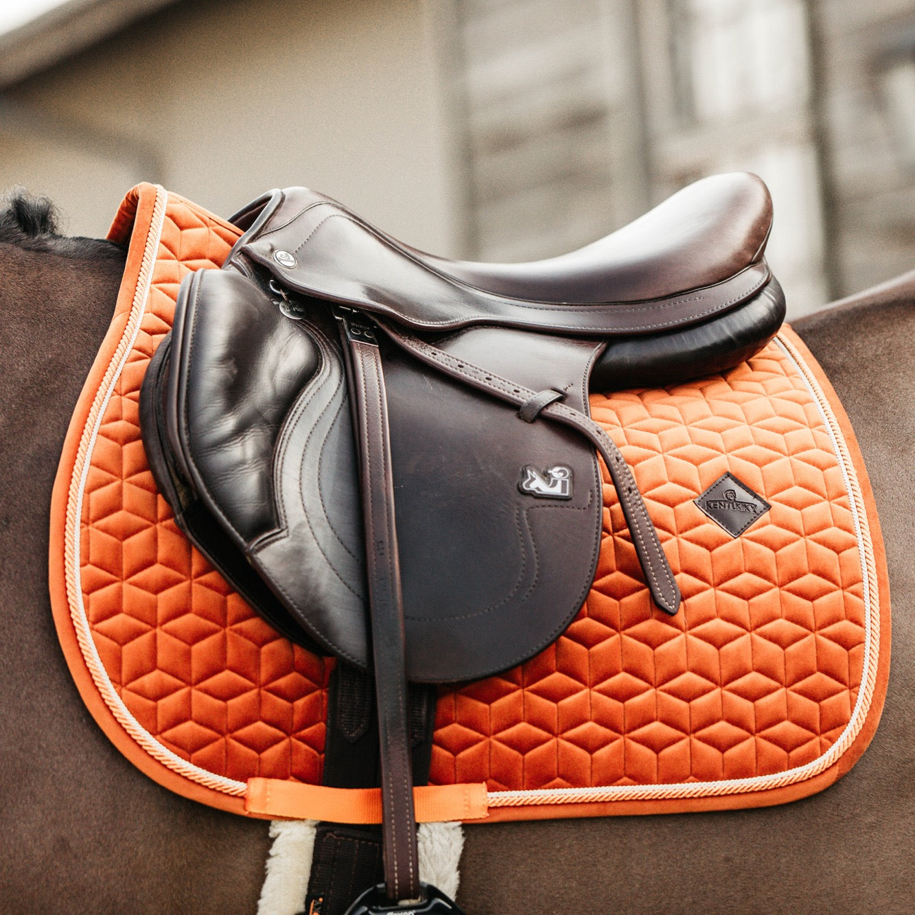 Kentucky Horsewear Saddle Pad Velvet Jumping Orange Edition