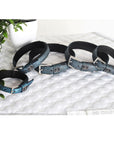 SD Design Hollywood Glamorous Dog Collar - Blue Lagoon Glitter