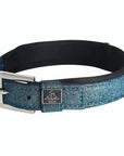 SD Design Hollywood Glamorous Dog Collar - Blue Lagoon Glitter