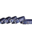 SD Design Hollywood Glamorous Dog Collar - Blueberry Twinkles