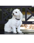 SD Design Hollywood Glamorous Dog Collar - Dark Shadow Glitz