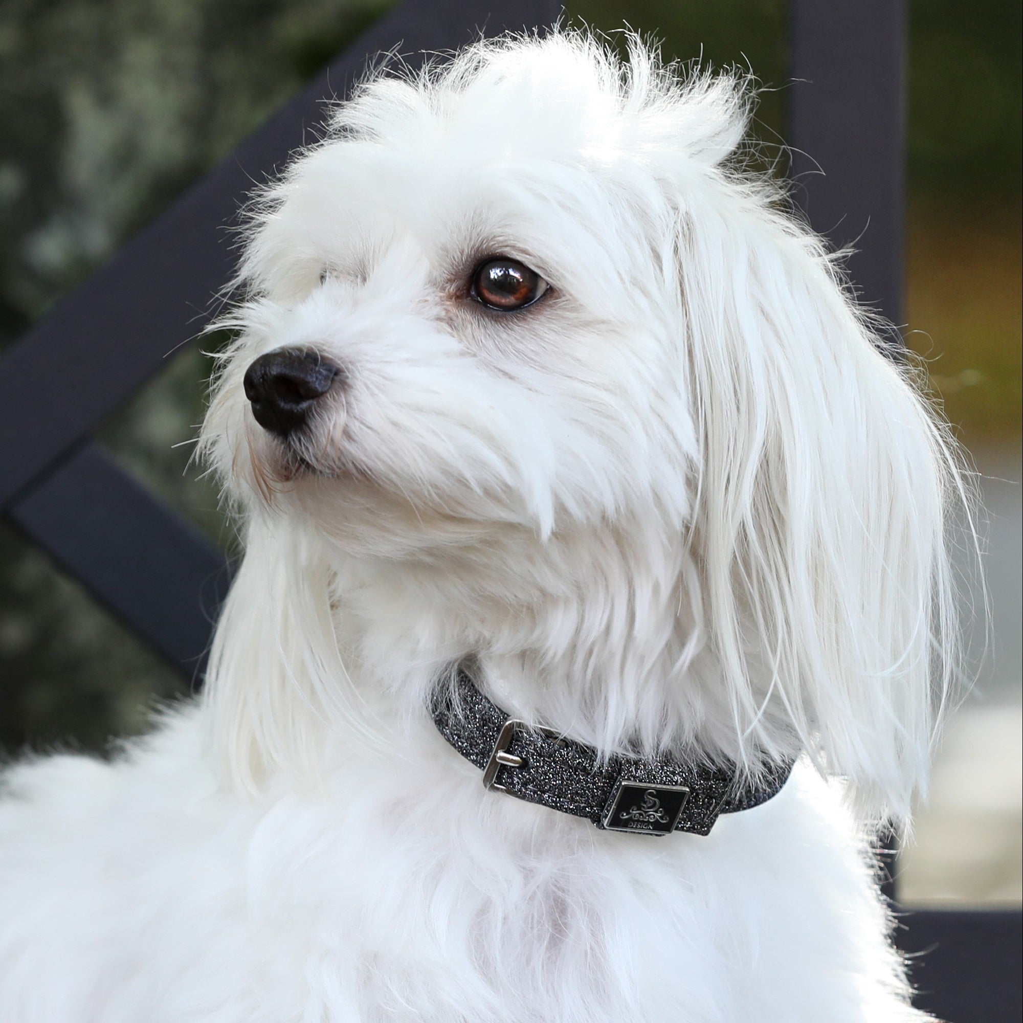 SD Design Hollywood Glamorous Dog Collar - Dark Shadow Glitz