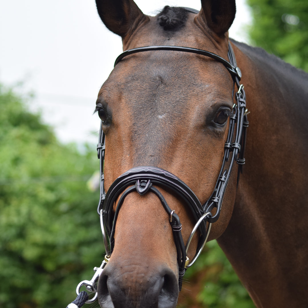 Jump'In Wednesday Bridle with Reins, Black
