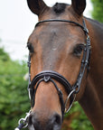 Jump'In Wednesday Bridle with Reins, Black