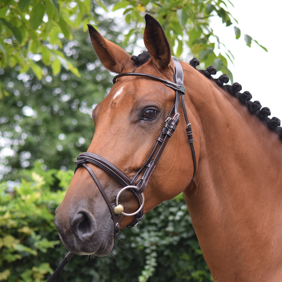 Jump'In Wednesday Bridle with Reins, Havana