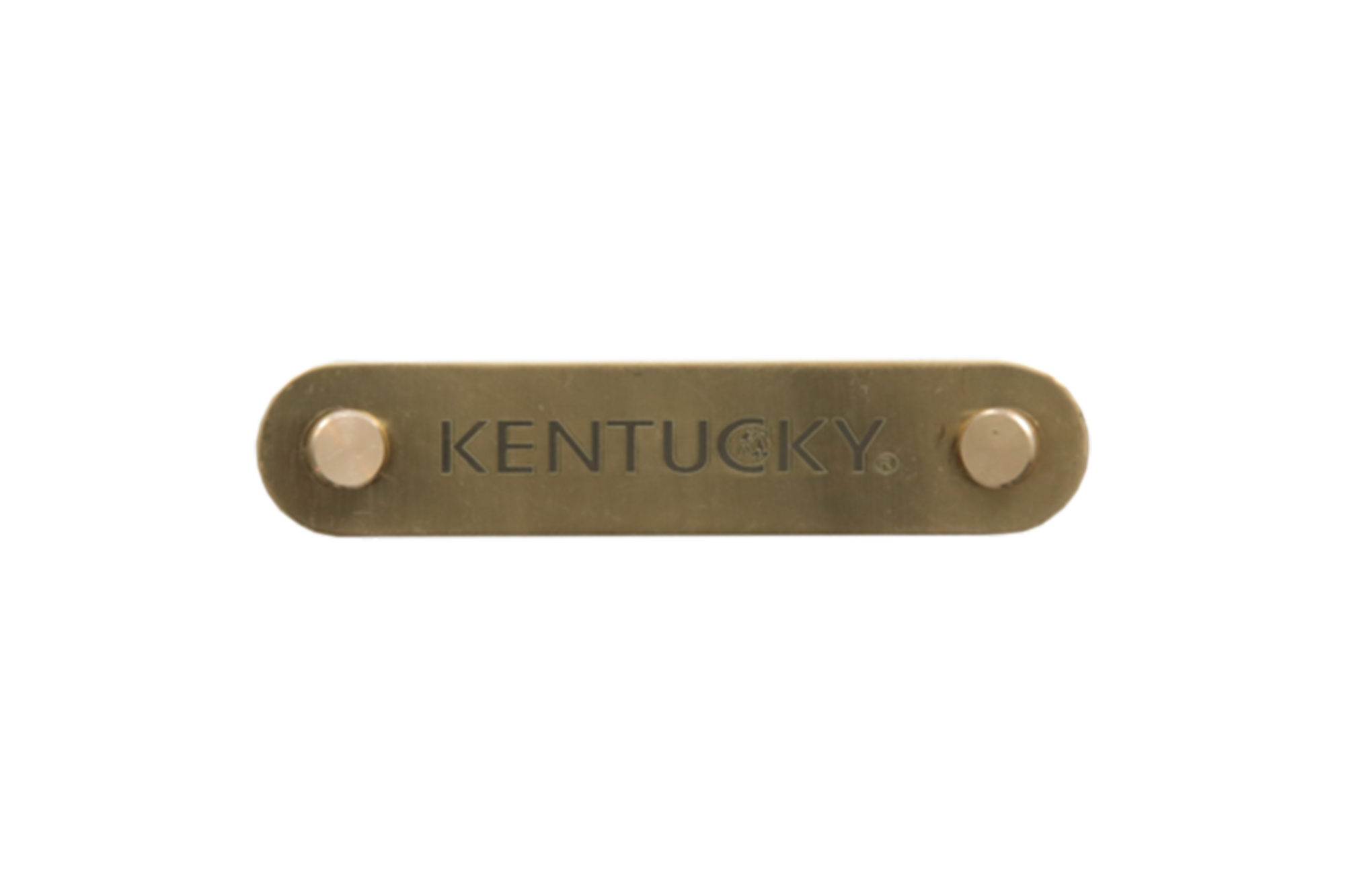 Kentucky Horsewear Name Plate Logo Halter