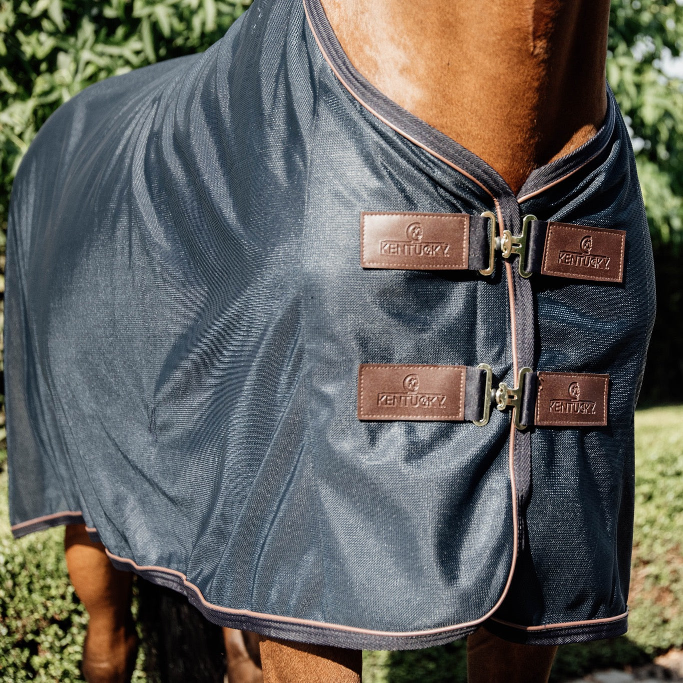 Kentucky Horsewear Mesh Fly Sheet
