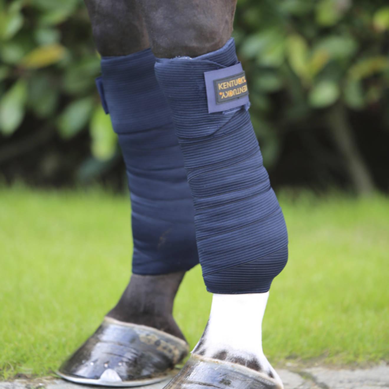 Kentucky Horsewear Elastic Bandages - Set of 2