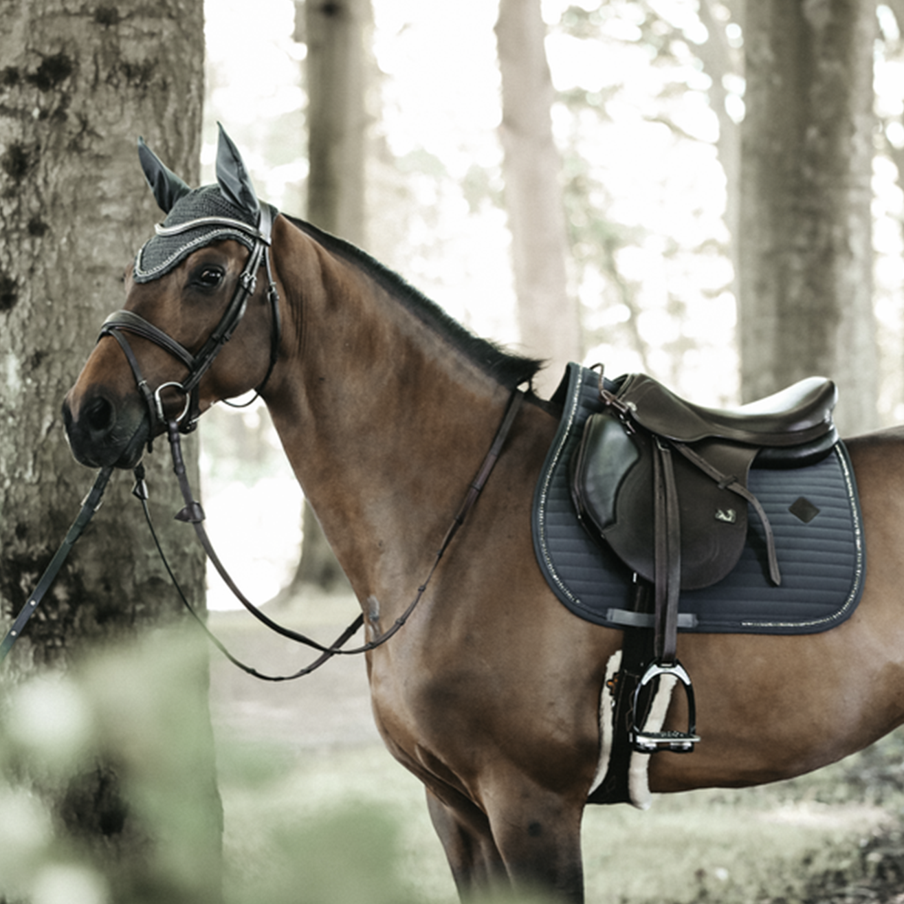 Kentucky Horsewear Fly Veil Wellington Stone & Pearl