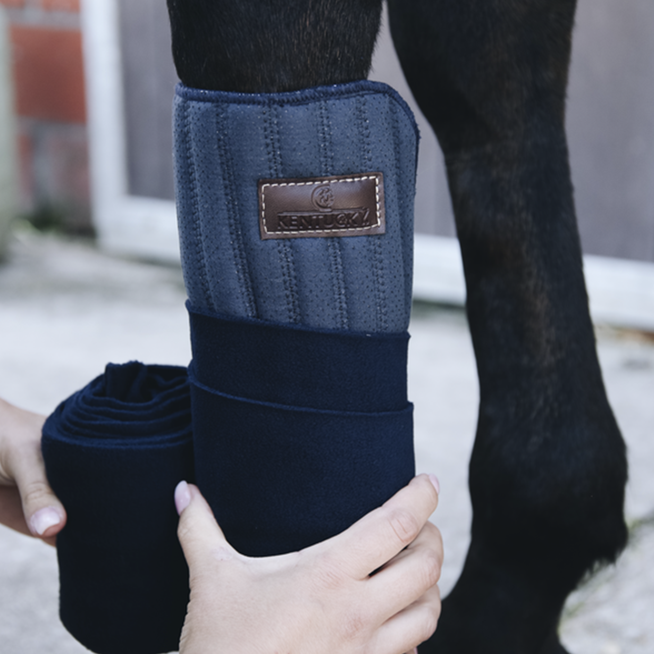 Kentucky Horsewear Working Bandage Pads Absorb, Set of 4