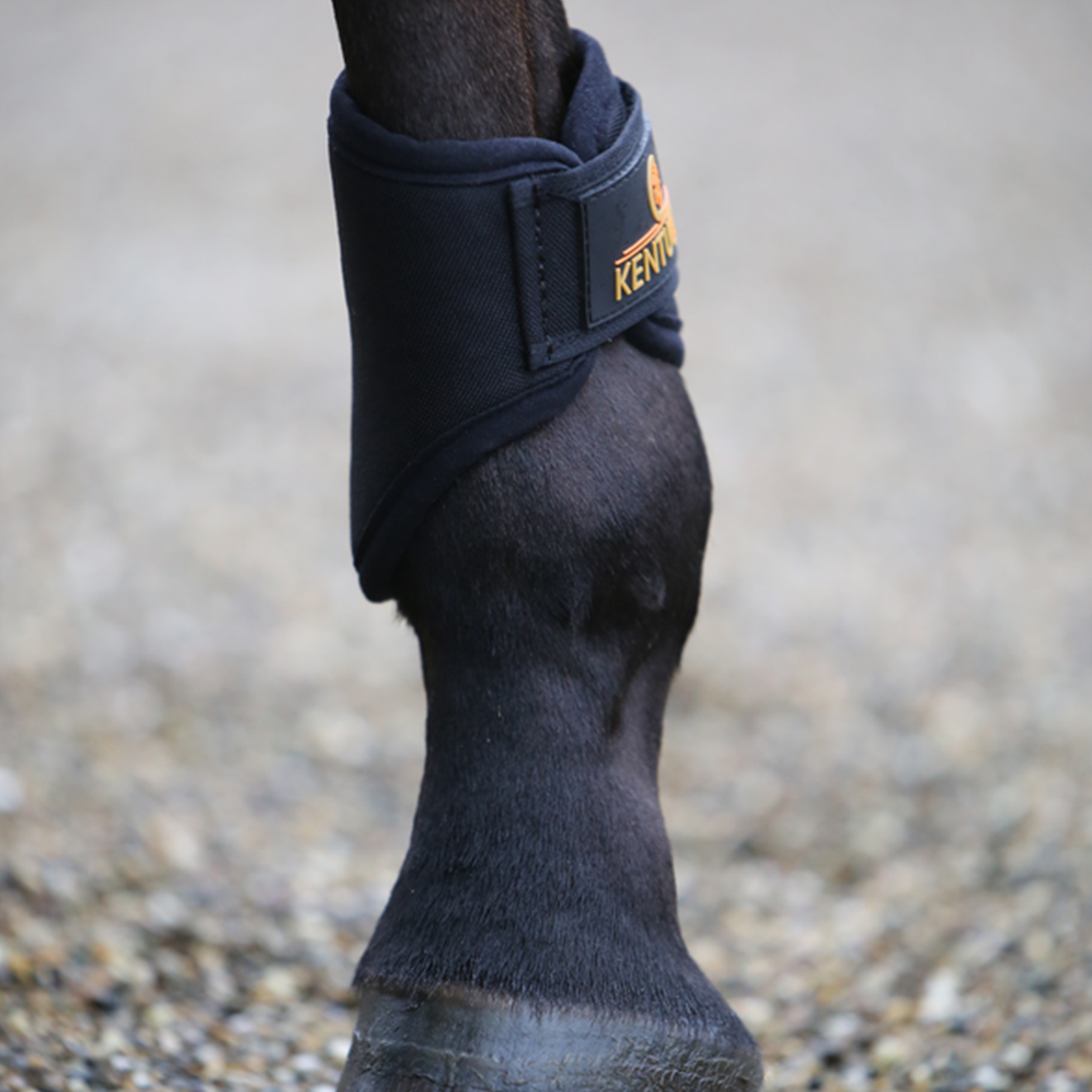 Kentucky Horsewear Turnout Boots 3D Spacer Hind Short