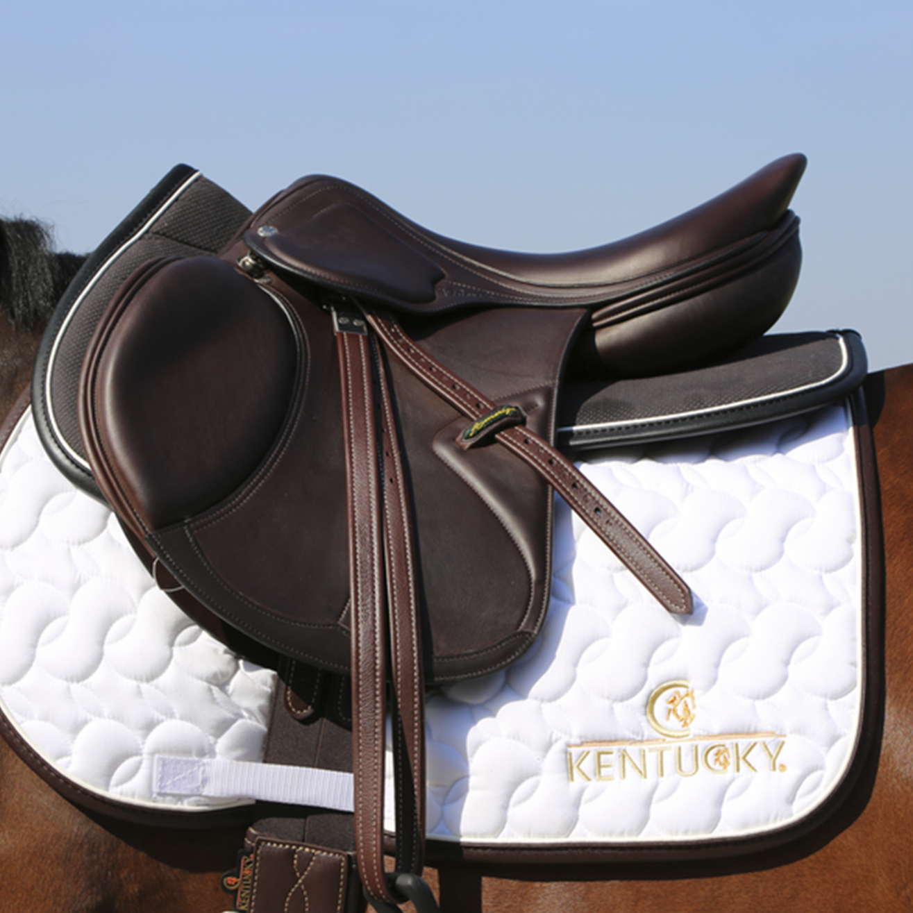 Kentucky Horsewear Half Pad Anatomic Absorb