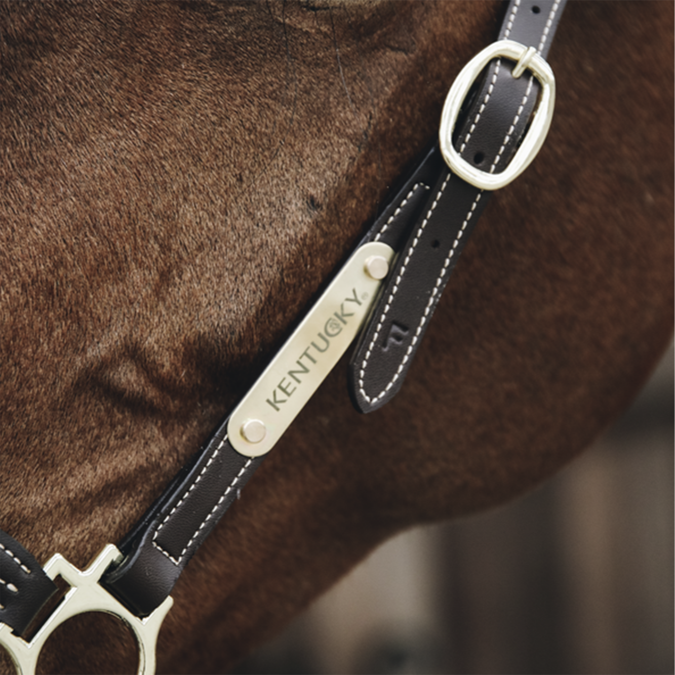 Kentucky Horsewear Name Plate Logo Halter