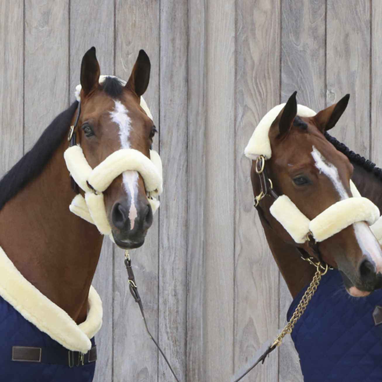 Kentucky Horsewear Sheepskin Halter Cover - Set of 4