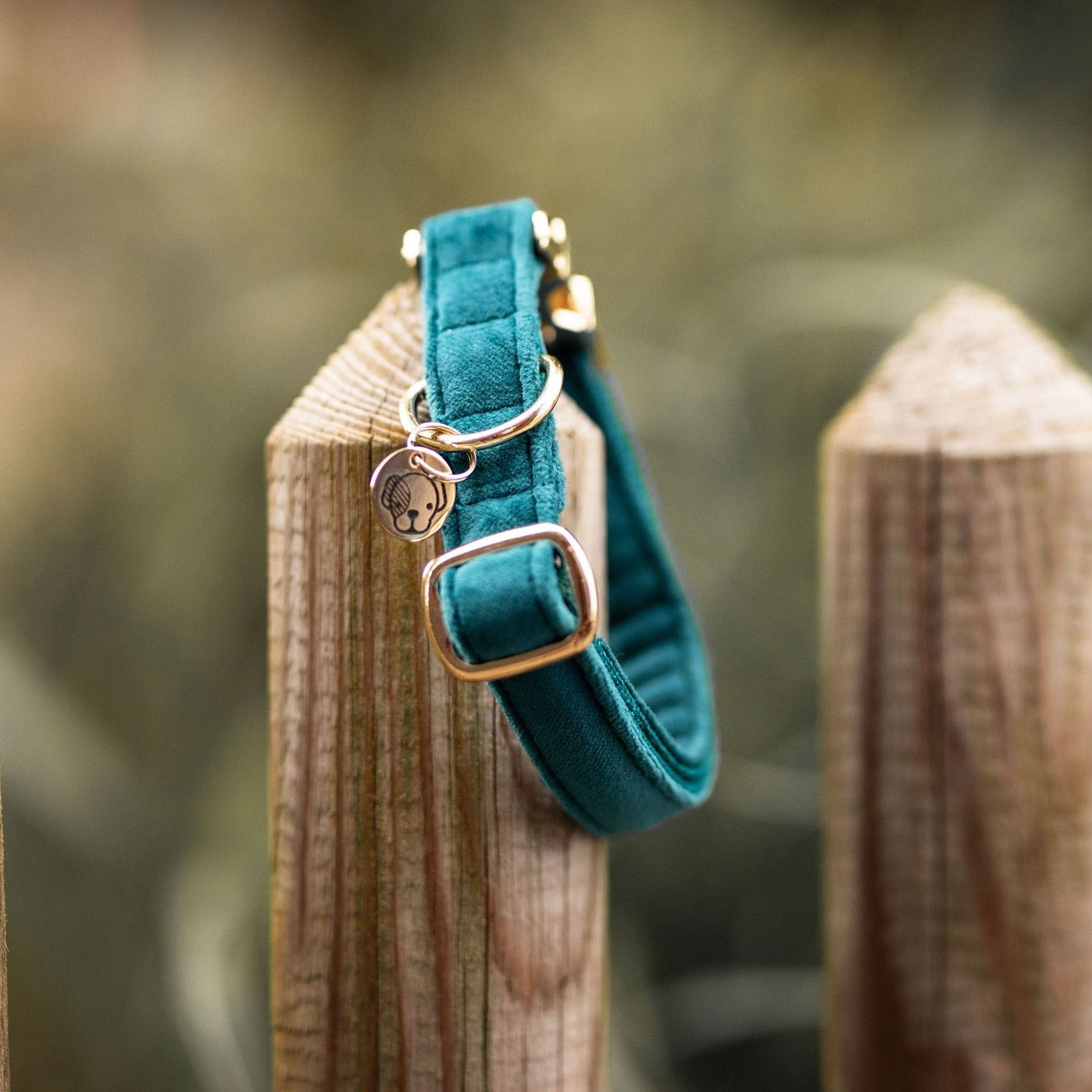 Kentucky Dog Collar Velvet, Emerald